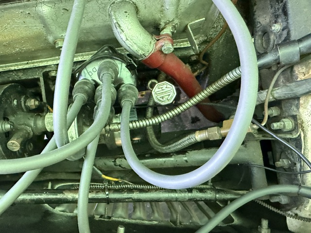 Lucas distributor with grey plug leads on a cream MG TF 1500, the silver MG octagon badge visible on a nearby component